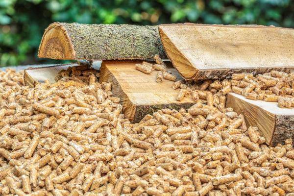 legna-pellet-combusitibile-per-stufa-camino.jpg