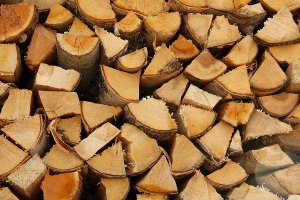 legna da bruciare per la stufa o il caminetto