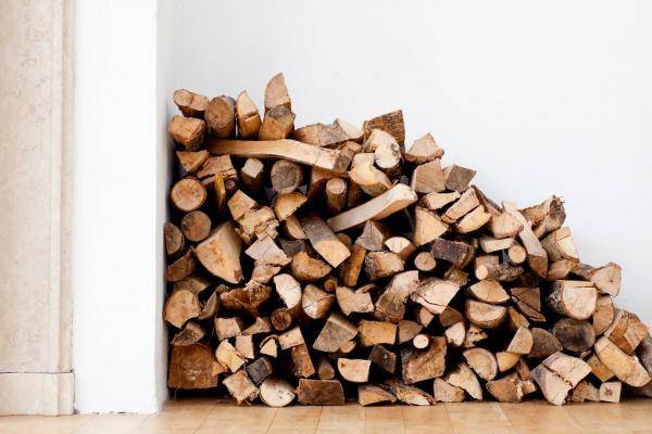 Qual è la legna migliore per la stufa?